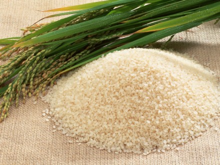 Africa Imports $5b Worth Of Rice Every Year – Ghana Business News