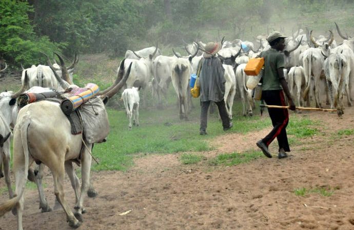 Herdsmen/Farmers Clashes: Nigerian Laboratory Scientist ready to offer solution to President Buhari